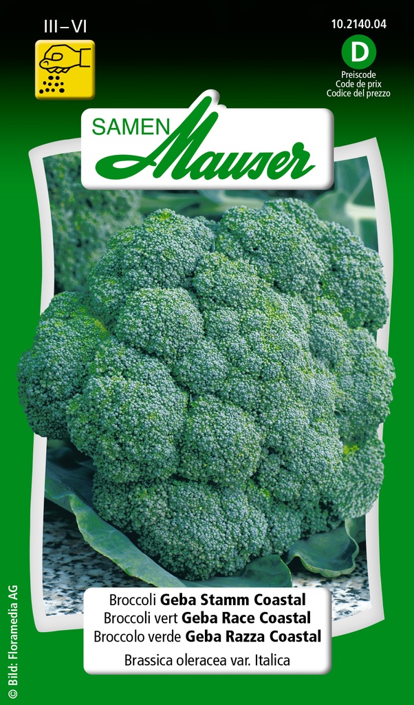Brocoli vert coastal