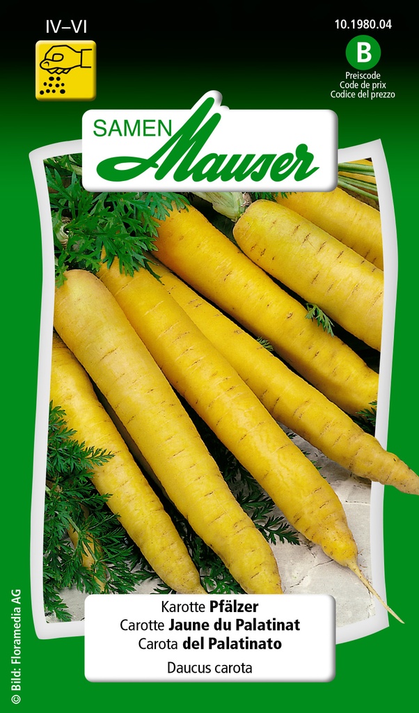 Carotte jaune palatinat