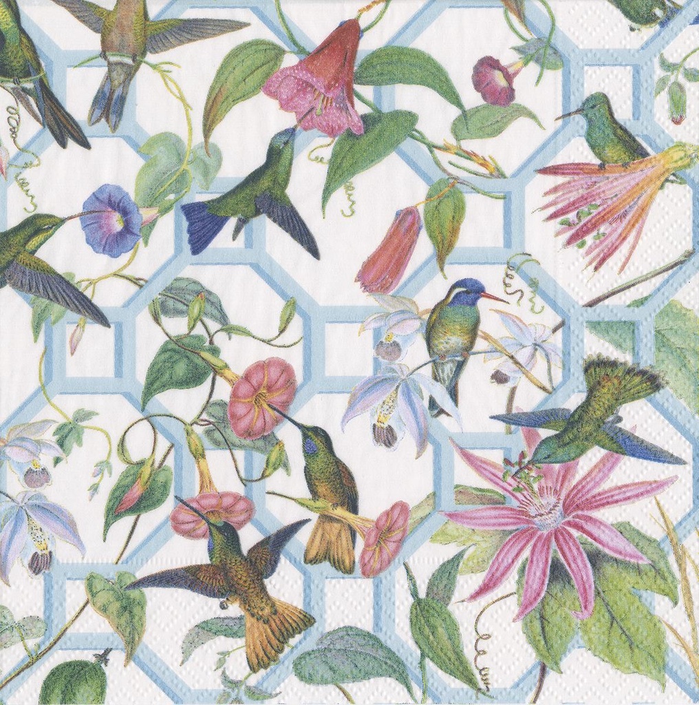 Serviette Diner Hummingbird trellis