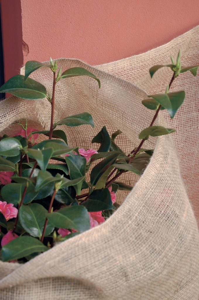 Protection en toile de jute NATUREROLL 200g/m²