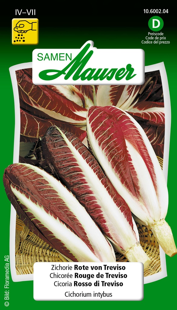 Chicorée rouge de Trevise