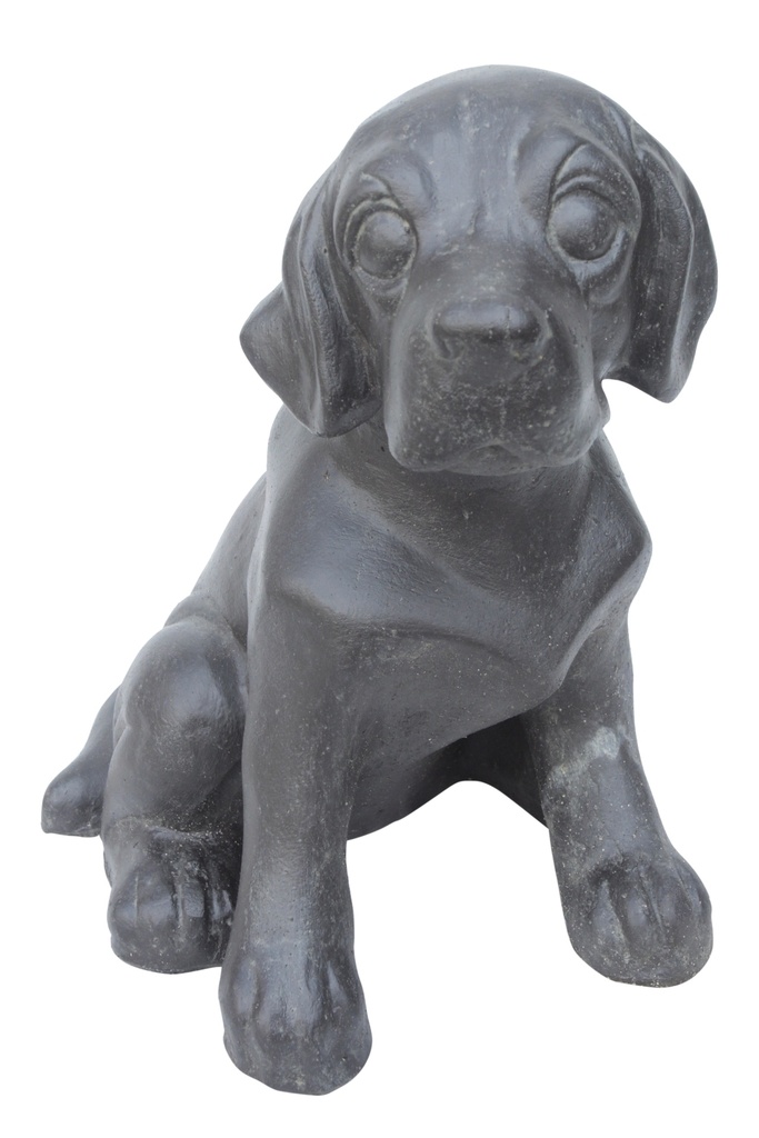 Chien Assis 40