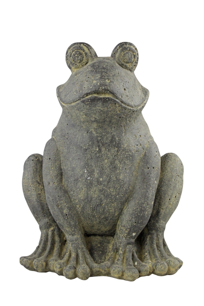 Prince Grenouille 15