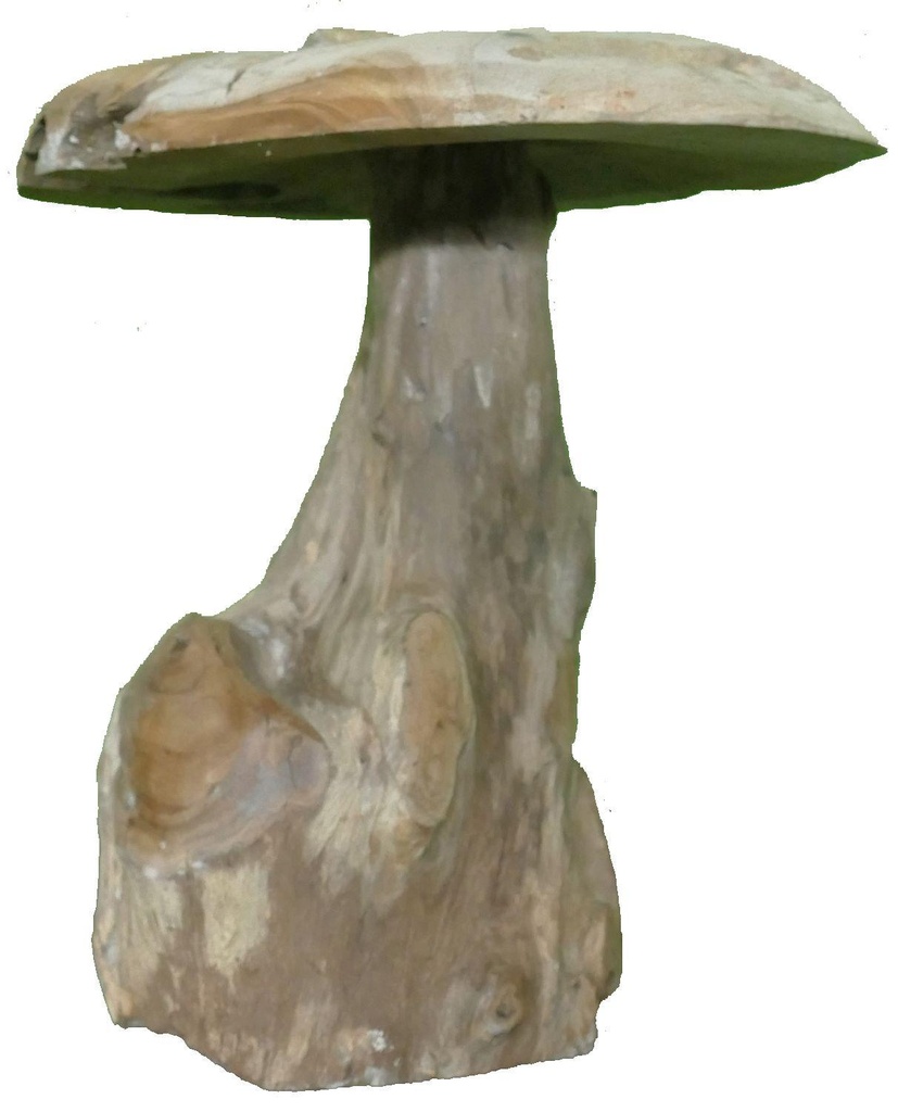 Champignon Teck 35