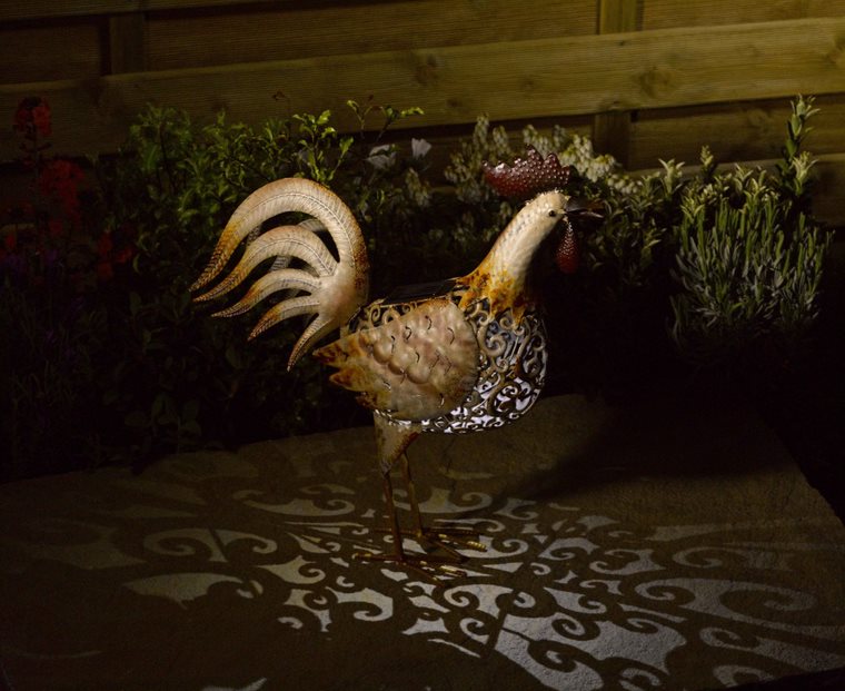 Coq