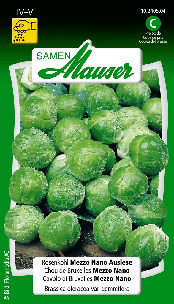 Chou de Bruxelles sélection mezzo mano