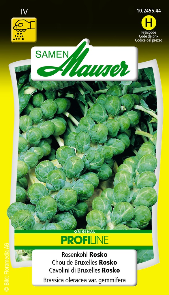 Chou de Bruxelles Selma-rosko