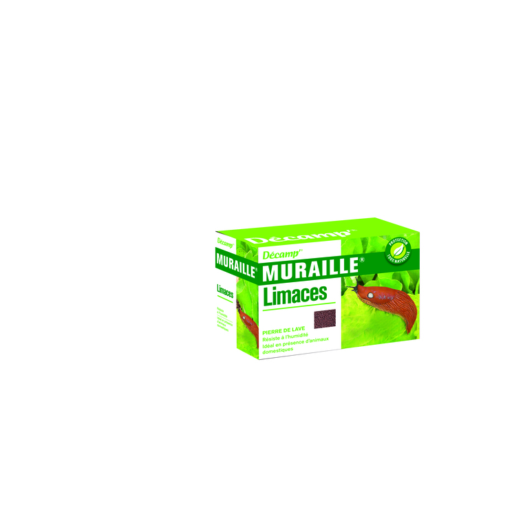 Muraille à Limace  Pierre De Lave  Maxi Format 2.4Kg
