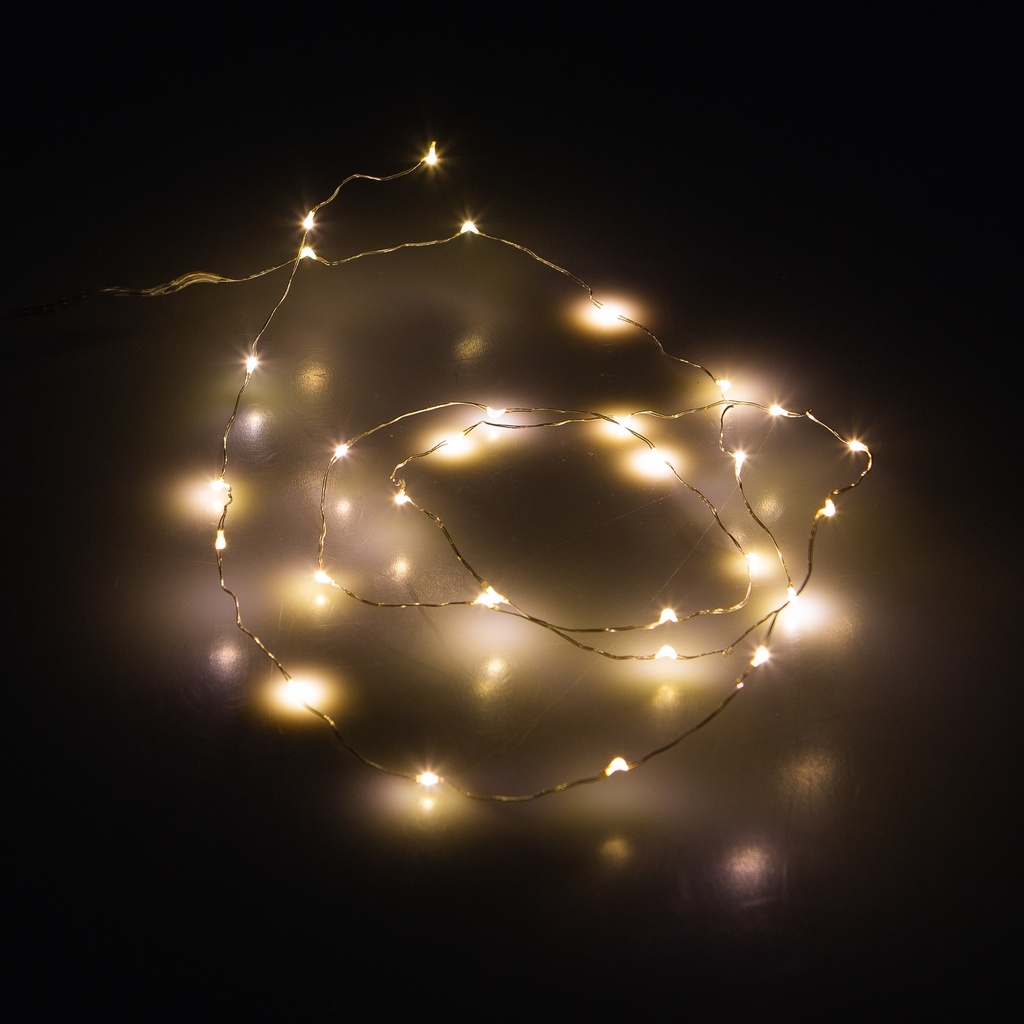 Guirlande 30 Micro LED à piles Intérieur