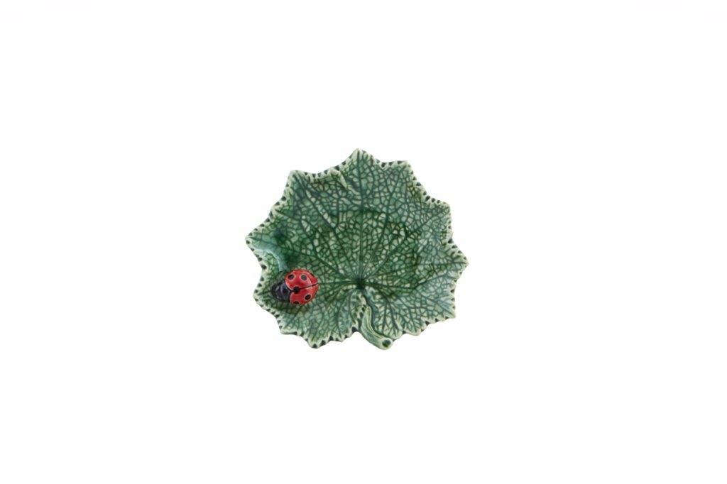Feuille Cinéraire avec Coccinelle