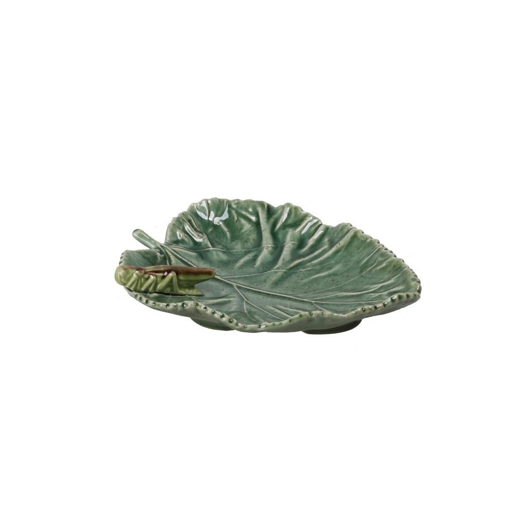 Feuille Mûrier avec sauterelle