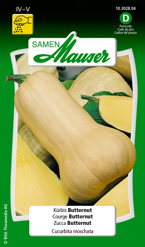 Courge butternut