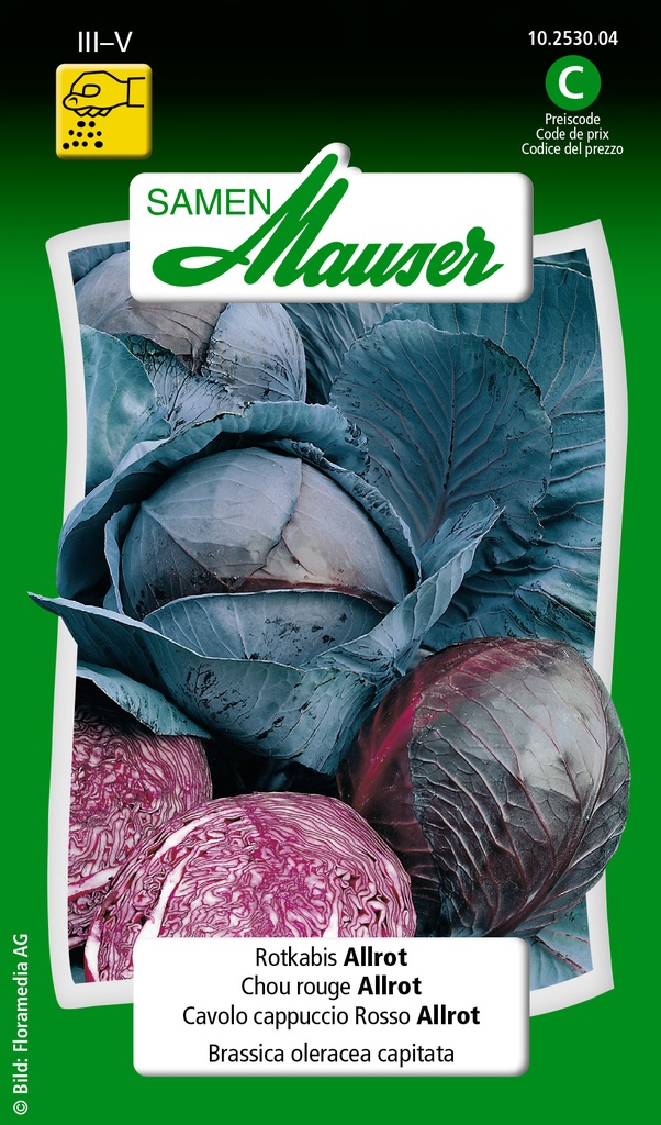 Chou rouge Allrot