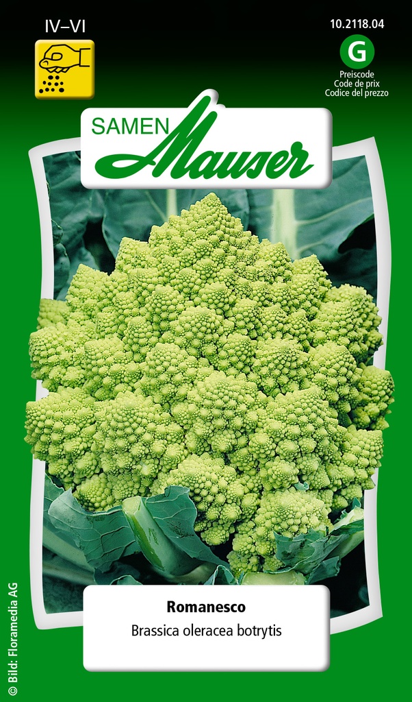 Chou-fleur Romanesco