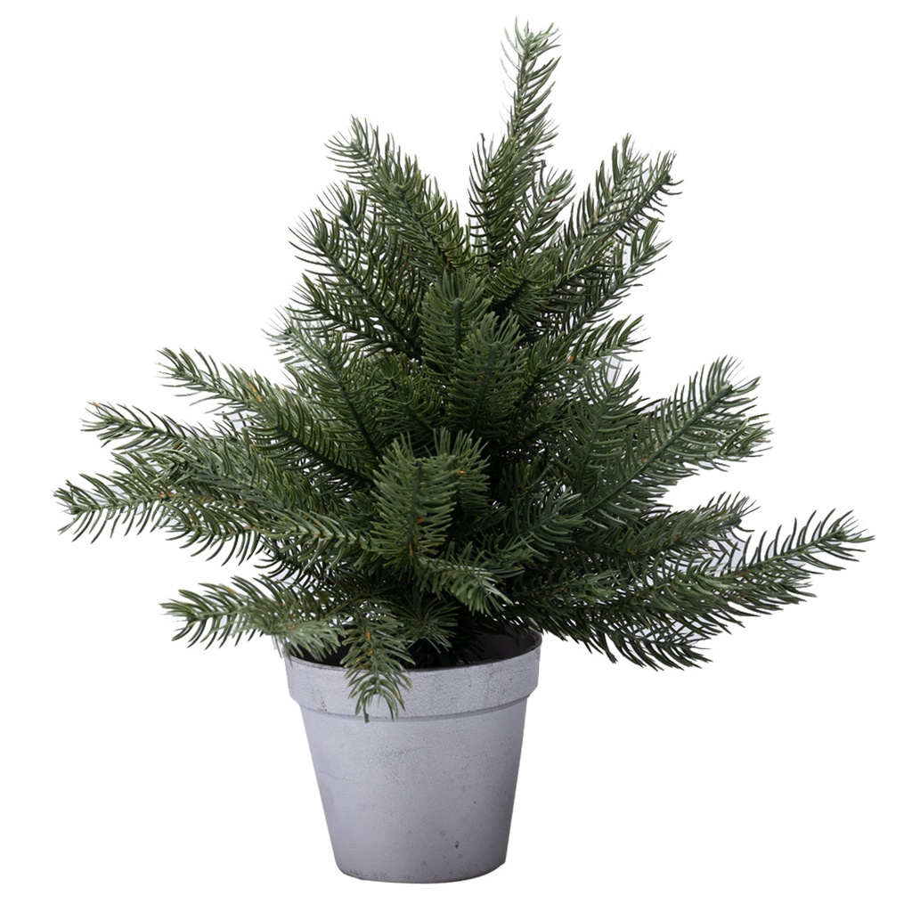 Sapin de Noël Evolène