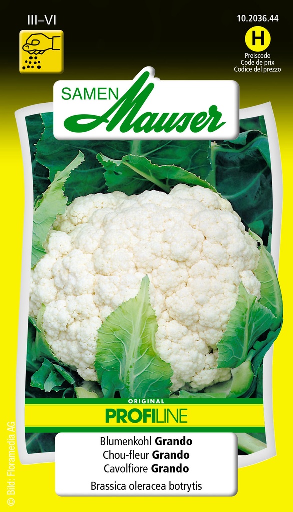 Chou-fleur Selma-Grando