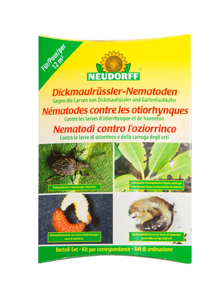 Bon d'achat auxiliaires ravag. du sol