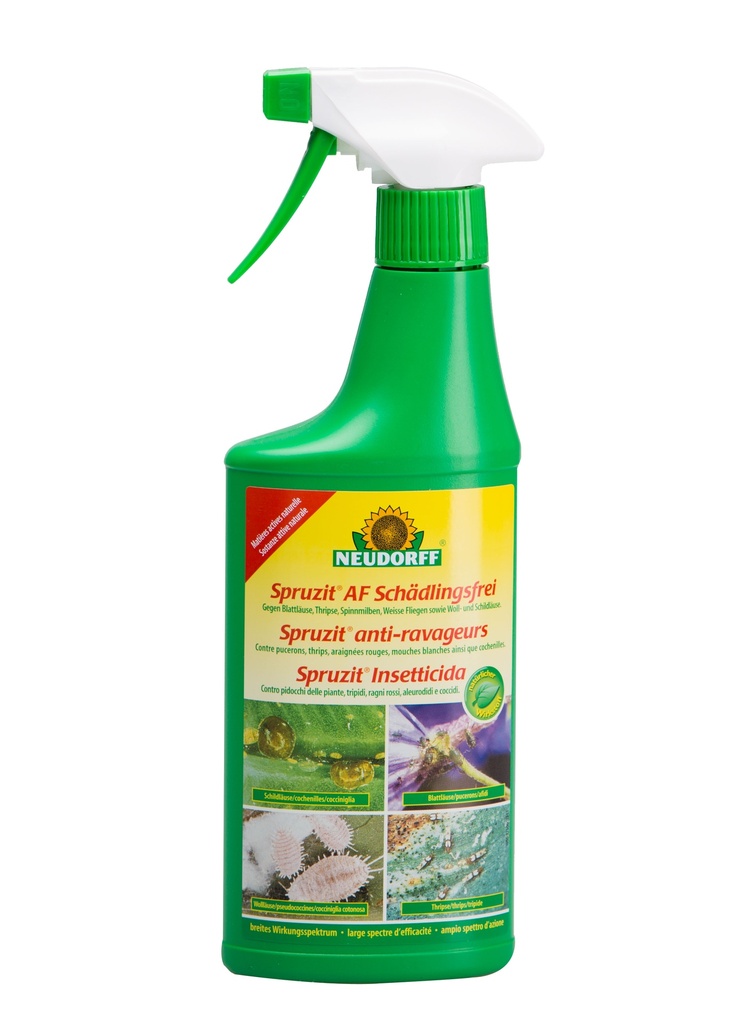 Spruzit AF vaporisateur anti-nuisible