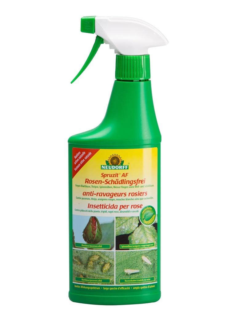 Spruzit vaporisateur pour rosiers