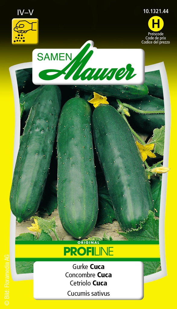 Concombre Selma Cuca F1