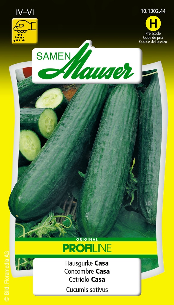Concombre Selma-Casa