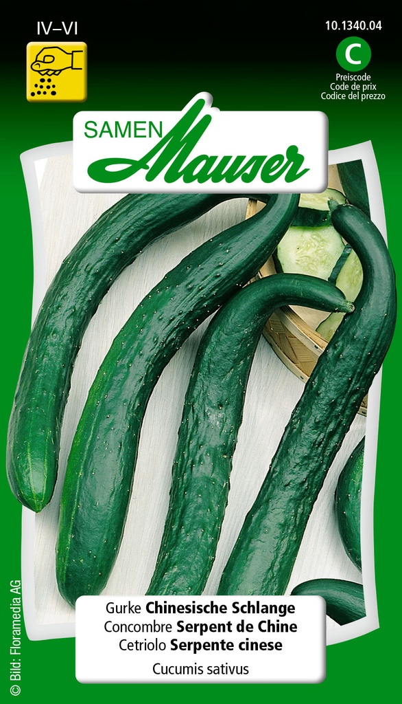 Concombre serpent Chine