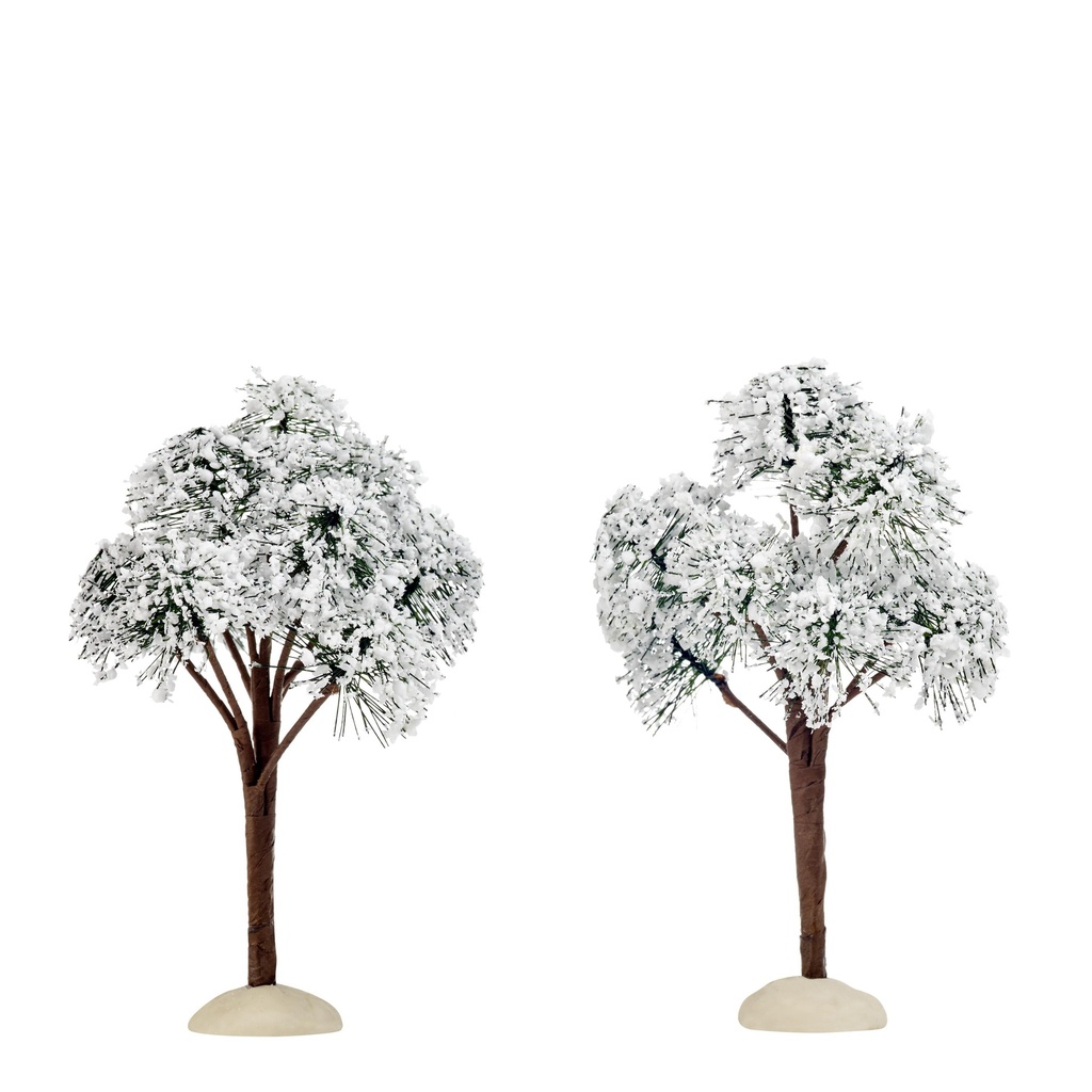 Pins enneigés 2pcs