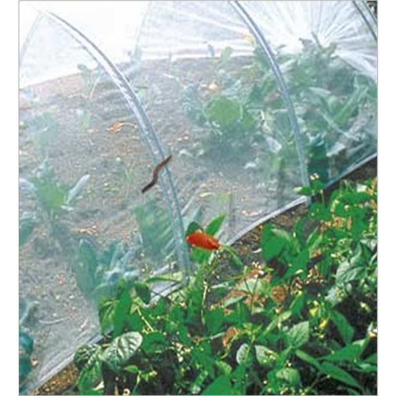 TOMATEX Gaine de croissance tomates PP 17g