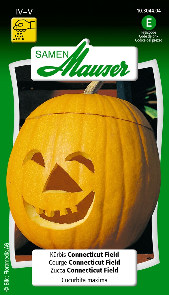 Courge Connecticut field