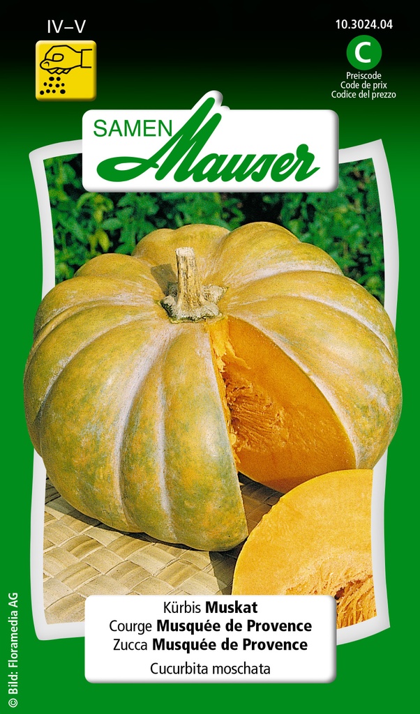 Courge musquée de Provence
