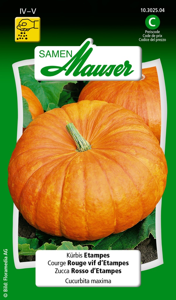 Courge rouge vif d'Etampes