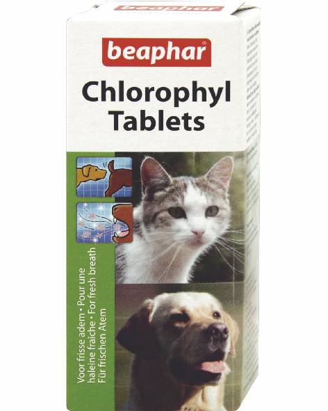 Comprimés à la chloroph.Dog-Stop. 30pces