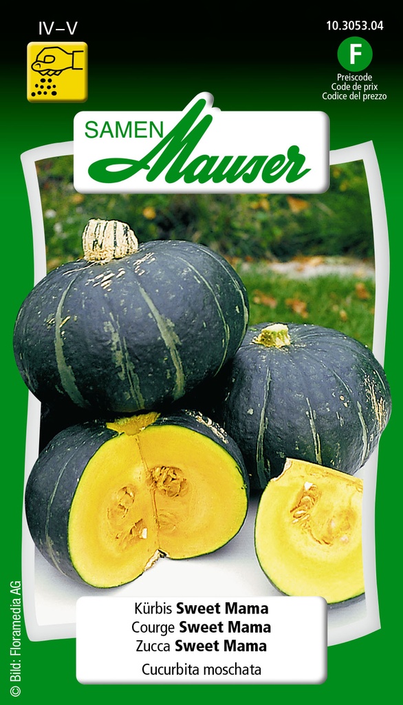 Courge Sweet Mama