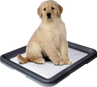 Doggy Trainer. cadre  pad. L
