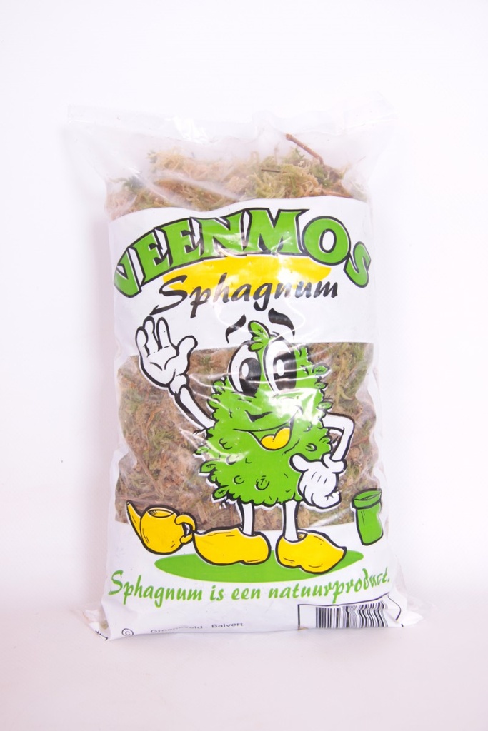 Sphagnum