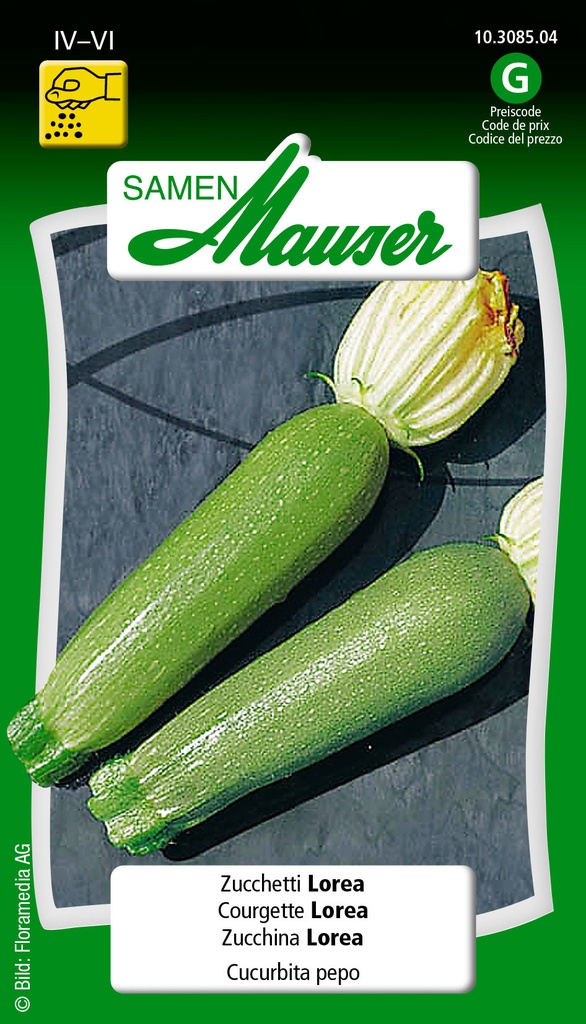 Courgette lorea