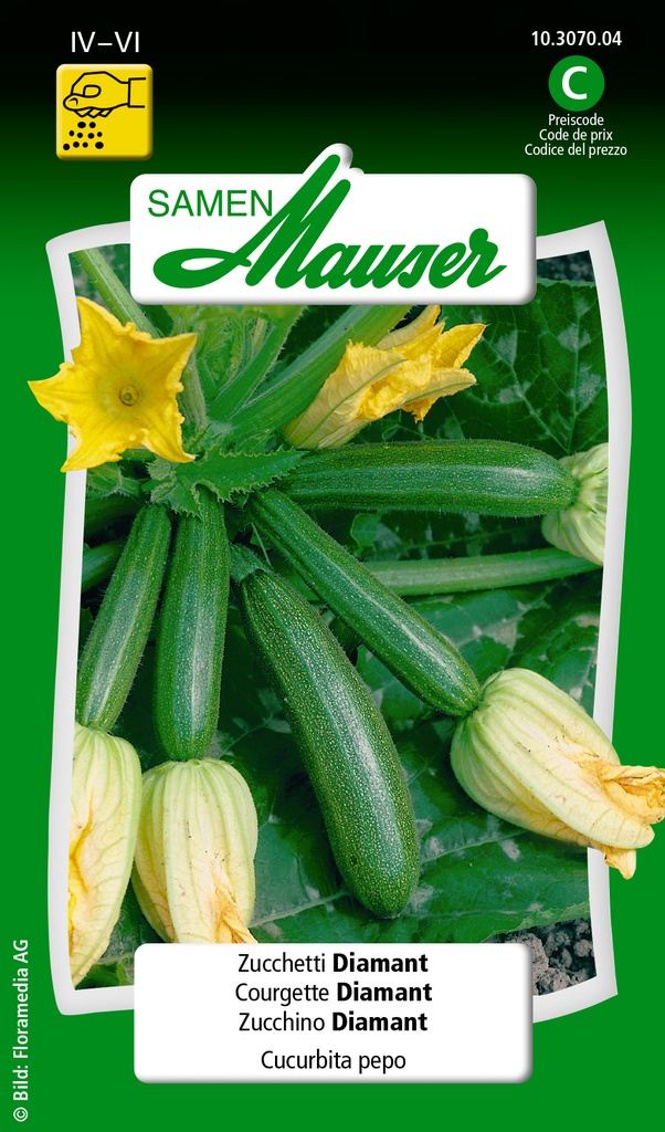 Courgette diamant