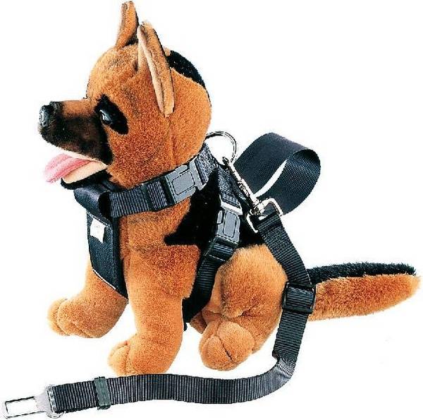 Harnais sécurité M