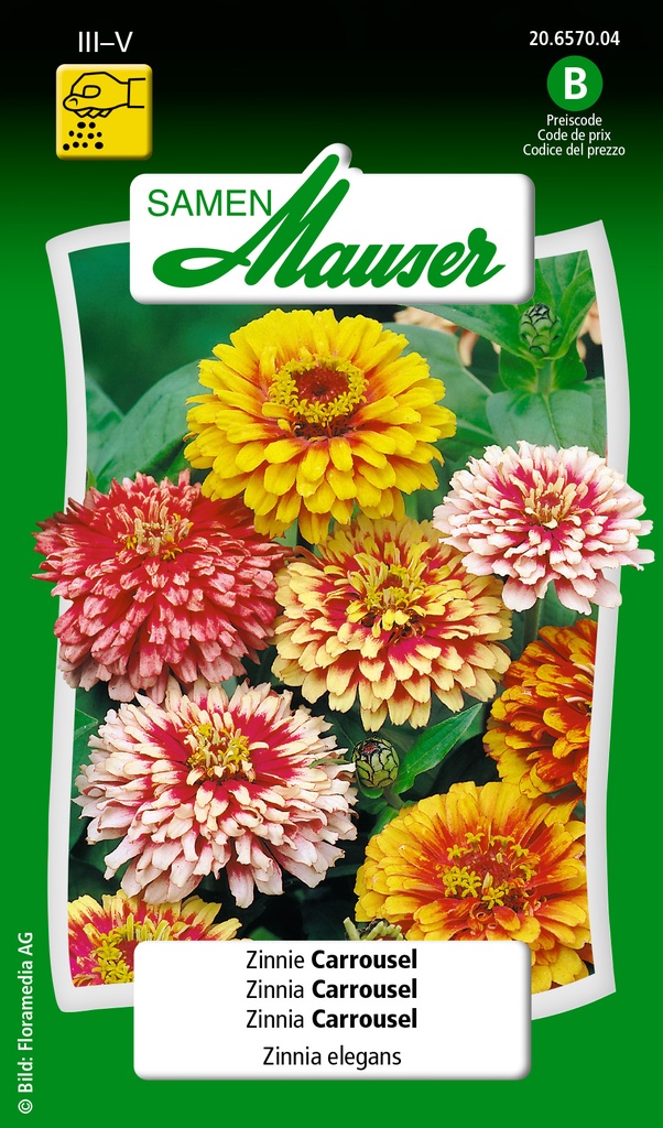 Zinnia carrousel