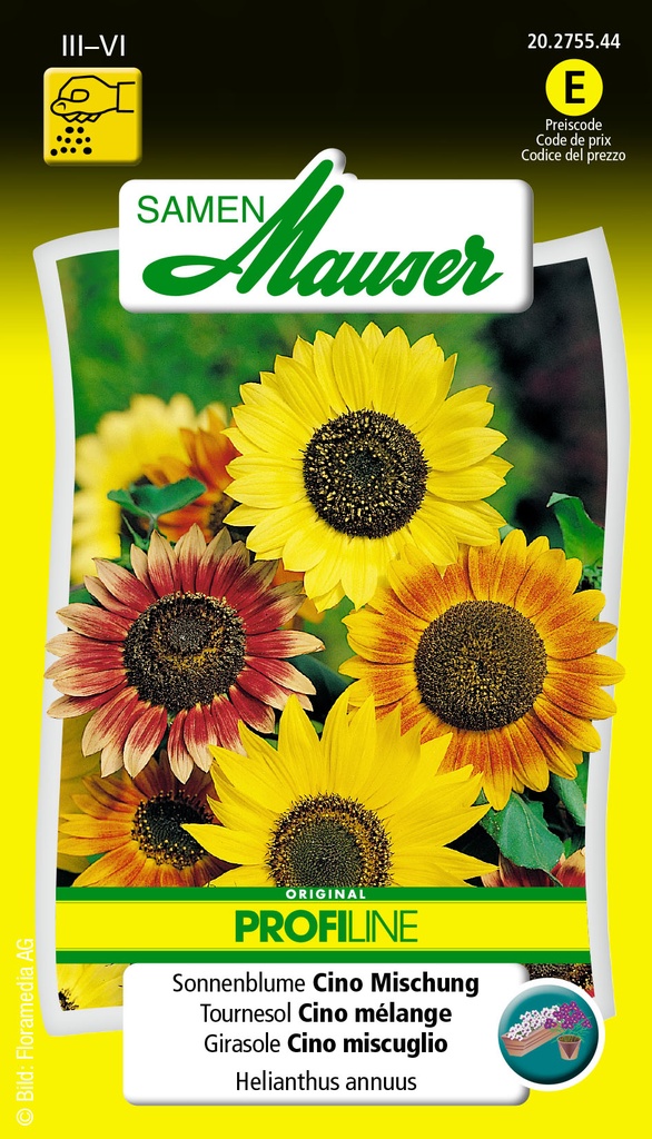 Tournesol Cino mélange