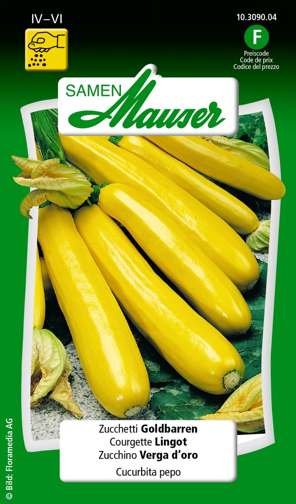 Courgette lingot d'or