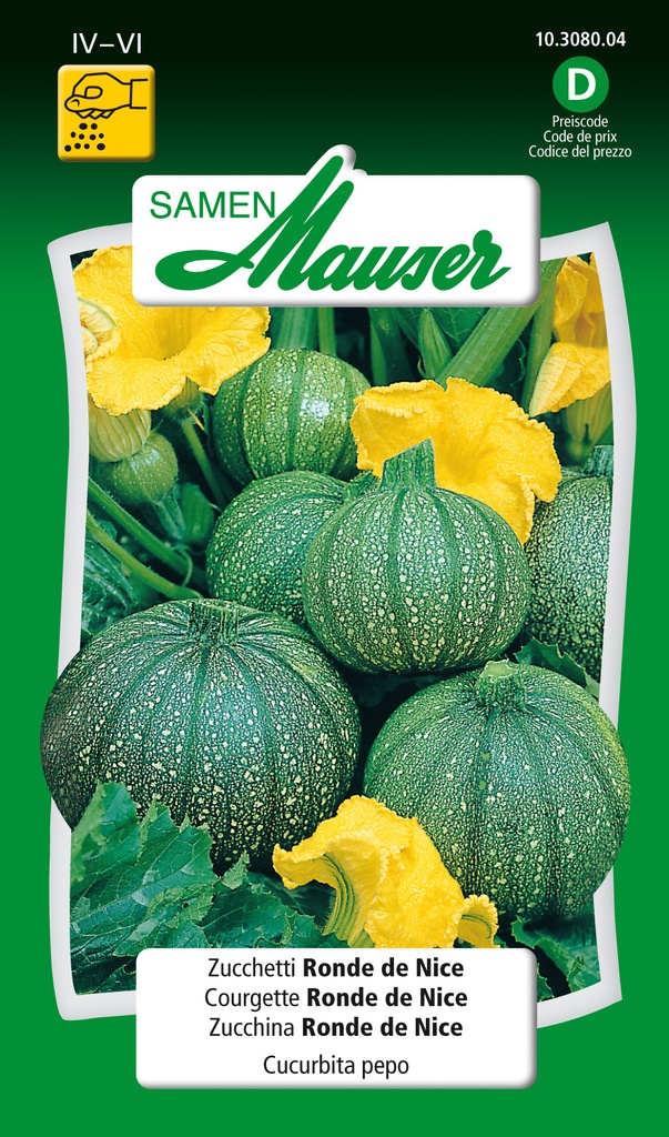 Courgette ronde de Nice