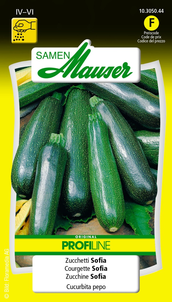 Courgette Selma-Sofia