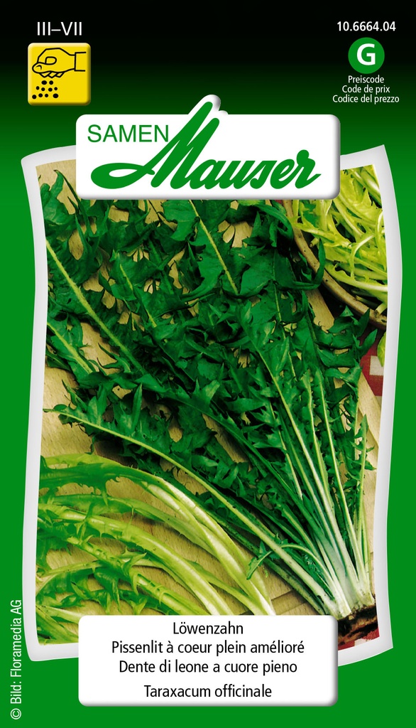 Dent de lion à coeur plein