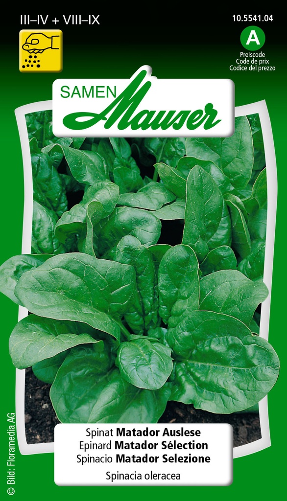 Epinard matador sélection