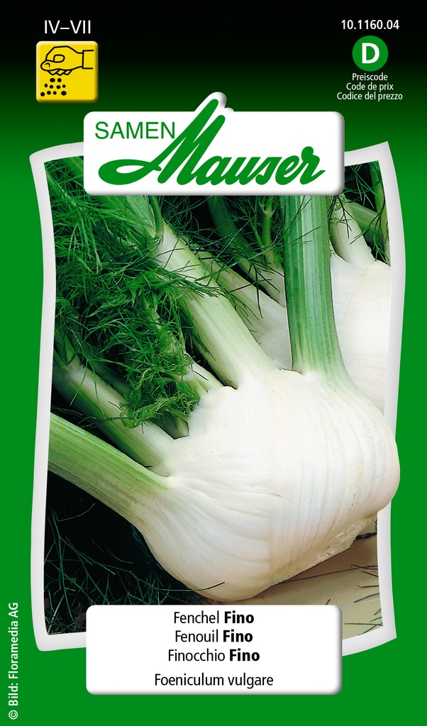 Fenouil Fino