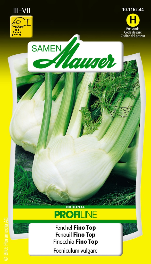 Fenouil Selma-Fino