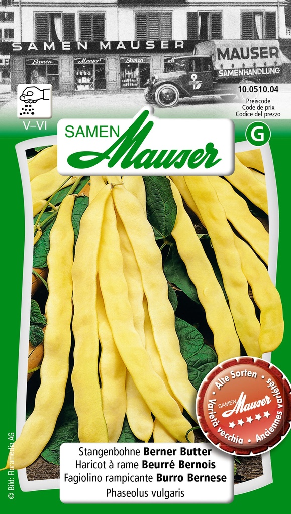 Haricot à rames beurre bernois