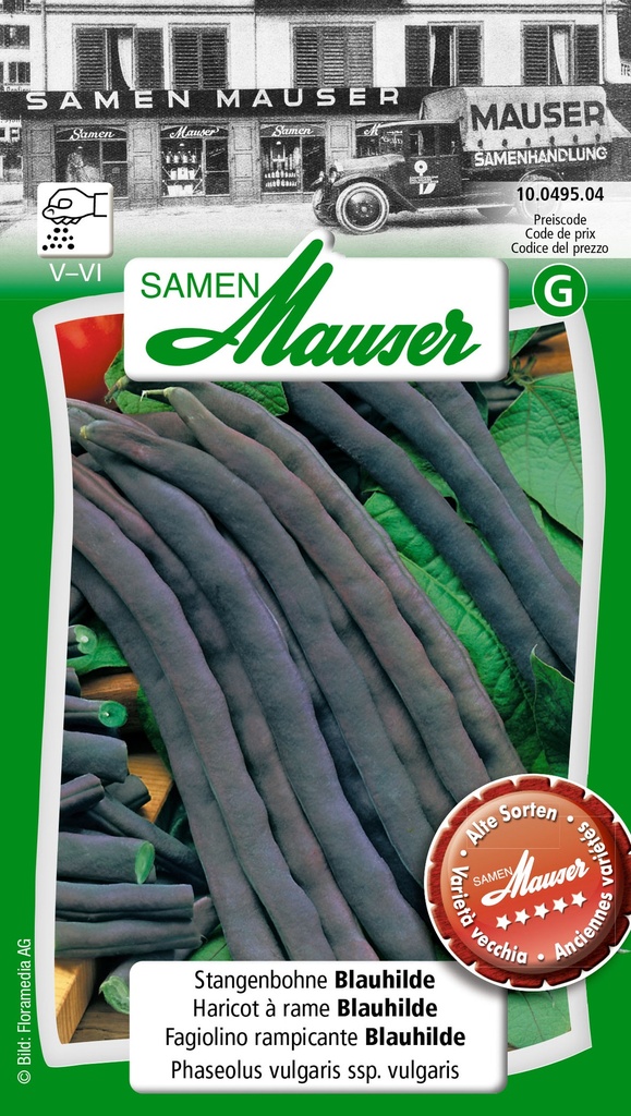 Haricot à rames Blauhilde