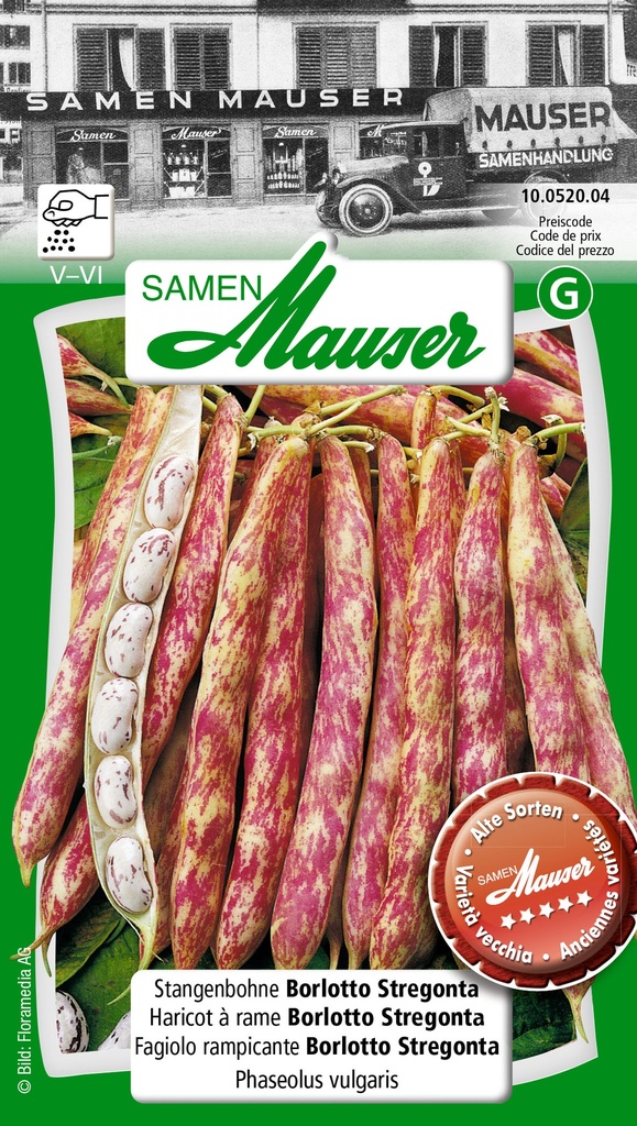 Haricot à rames Borlotti